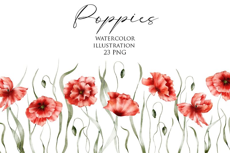 Watercolor floral clipart – Poppies. Wildflowers, summer flowers, plant, blossom - 電子似顏繪/繪畫/插畫 - 其他材質 多色