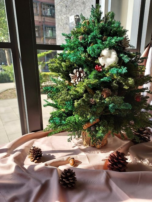 慢慢來工作室 客製化永生雪松聖誕樹