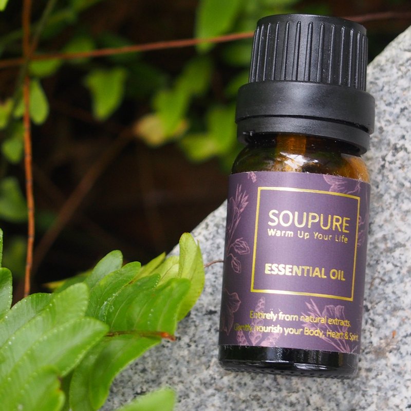 溯璞家品  自然木質香調 天然單方純原精油10ml 多款任選 - 香氛/精油/擴香 - 精油 咖啡色