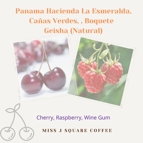 Miss J Square Coffee Panama Hacienda La Esmeralda Geisha (Green Label) Natural