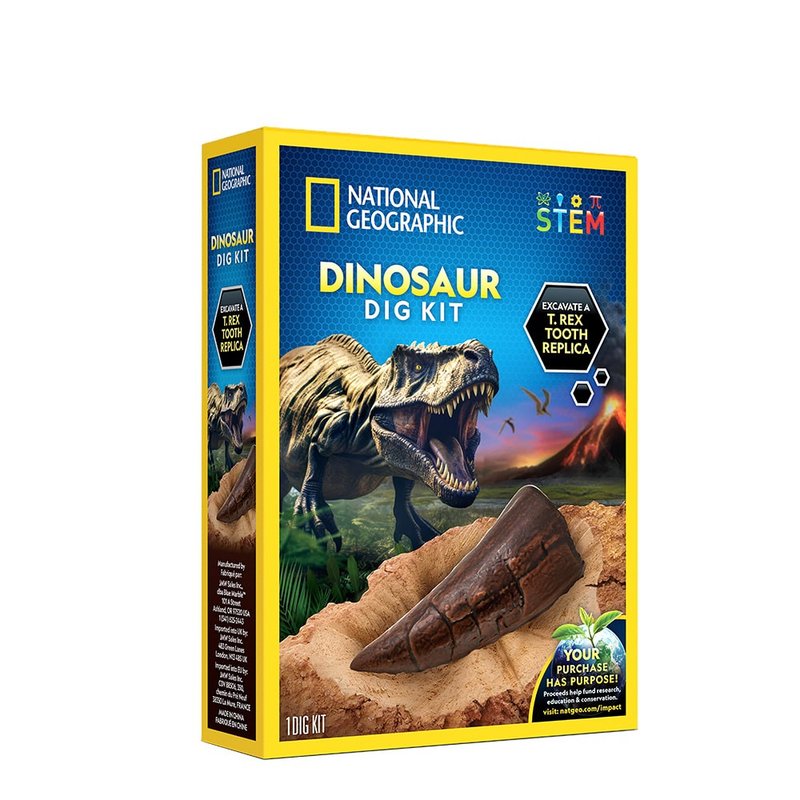 NATIONAL GEOGRAPHIC Dinosaur Fossil Excavation Kit - ของเล่นเด็ก - วัสดุอื่นๆ 