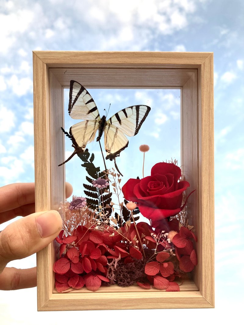 Capture the Sky Series/ Chinese Valentine’s Day/ Everlasting Flower Butterfly Photo Frame/ Father’s Day Gift - ช่อดอกไม้แห้ง - พืช/ดอกไม้ สีแดง