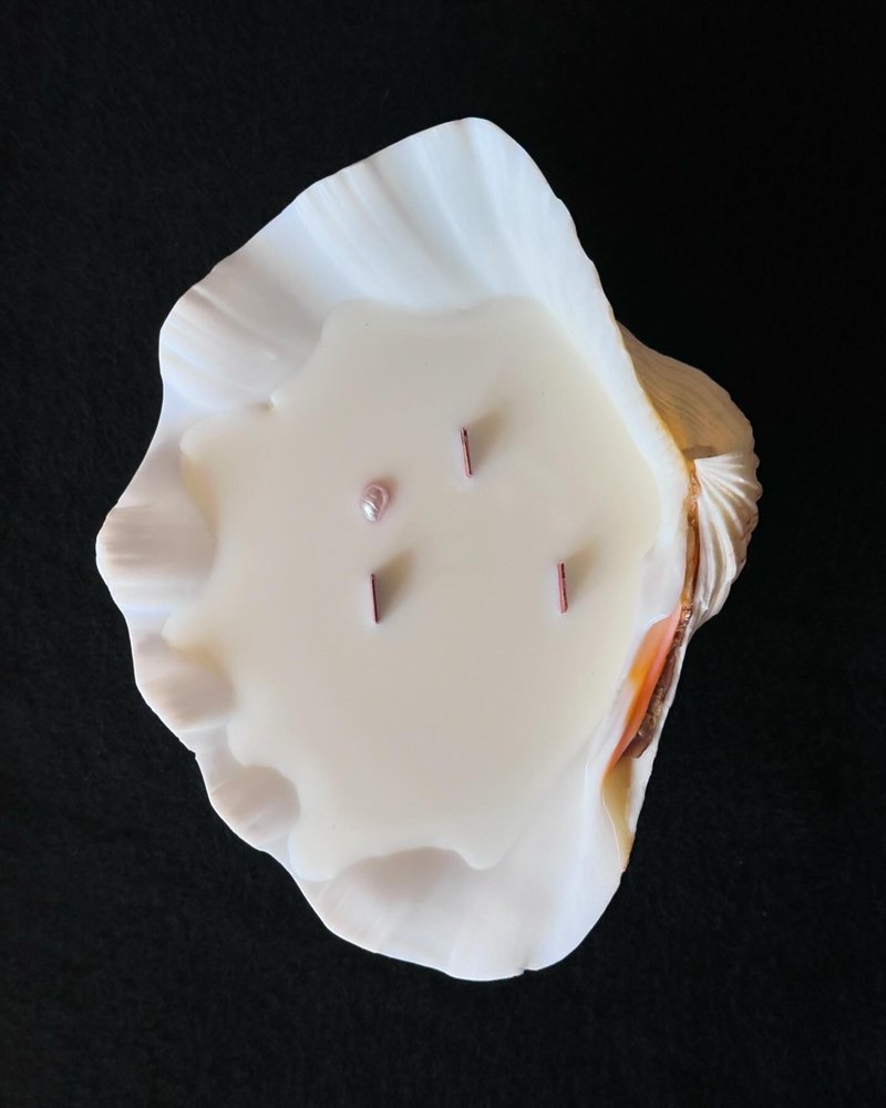 About Xiaosan’s San Diego shell candle-19 - Fragrances - Shell White