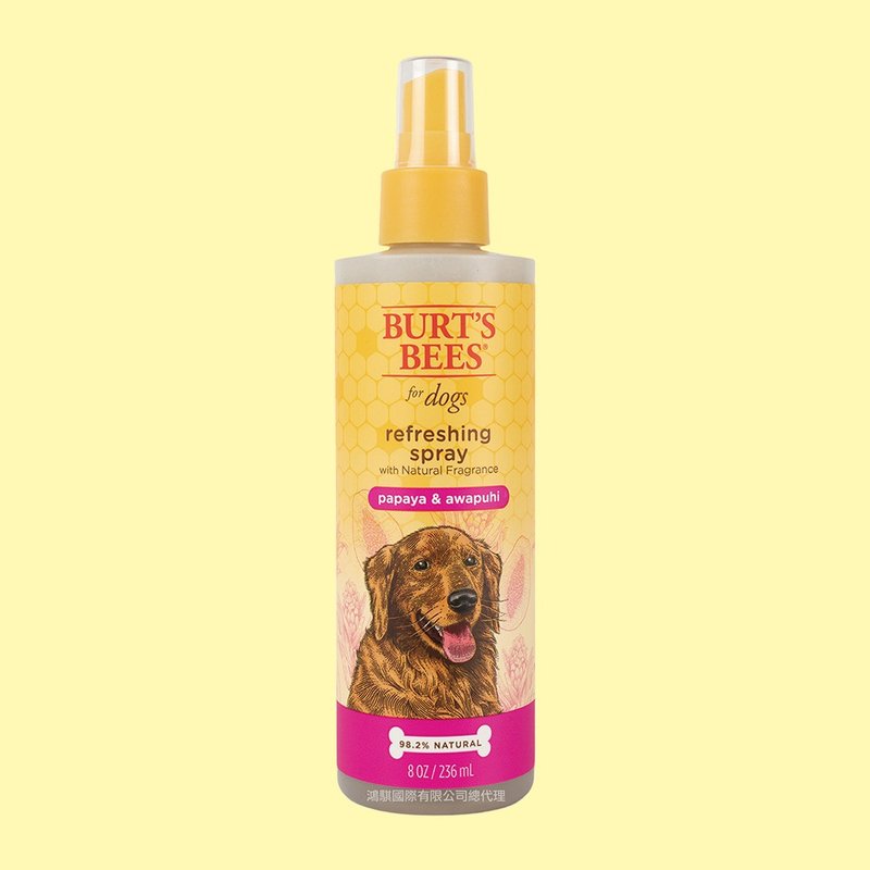 Burt's Bees Papaya Papaya Coix Conditioner 8oz - ทำความสะอาด - วัสดุอื่นๆ สีส้ม