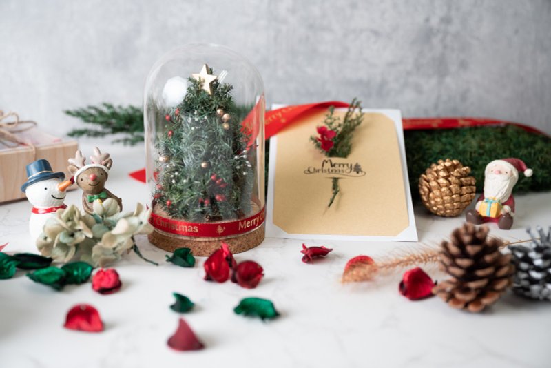 I Christmas gift box x Gift exchange I Immortal cedar Christmas cup and immortal flower card - ช่อดอกไม้แห้ง - พืช/ดอกไม้ หลากหลายสี