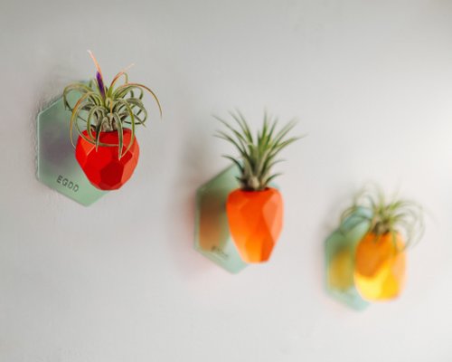 EGDD SNAP FROOTS 水果西拿 磁吸原木植物盆 - Mini彩色