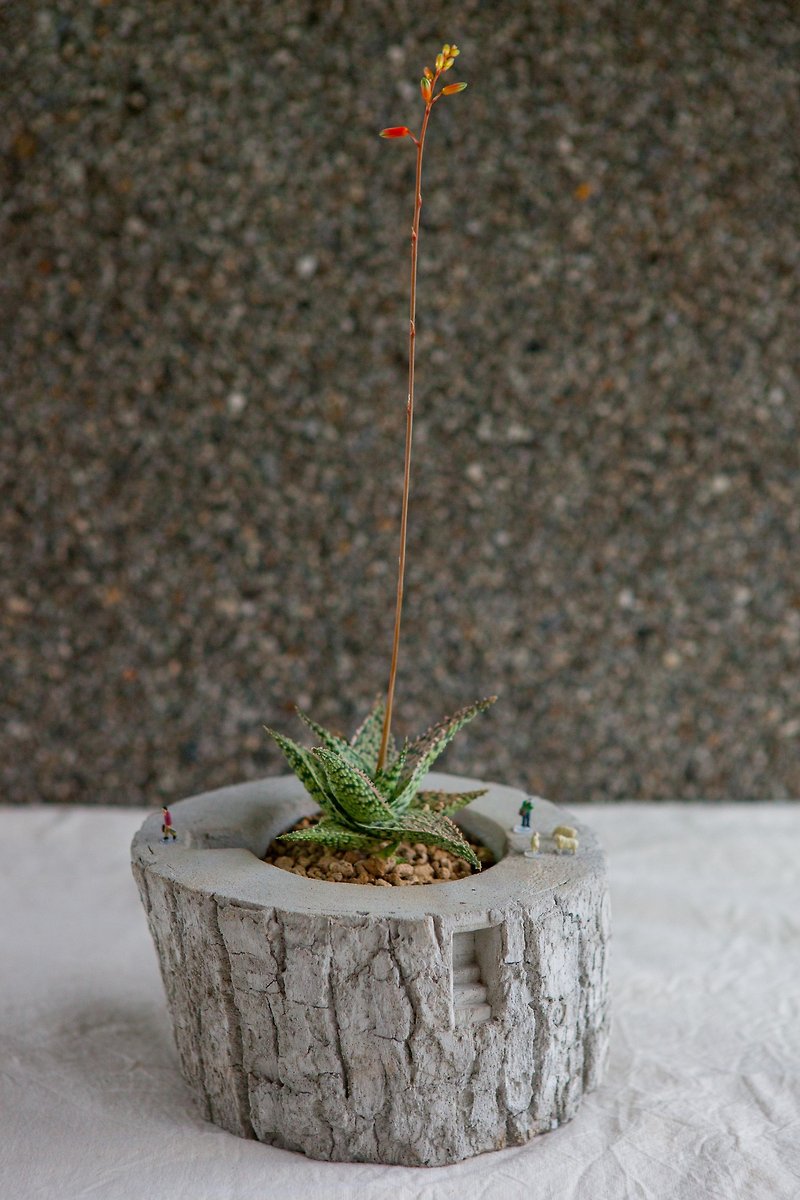 [Drizzle Handcrafted Workshop] [Tree House World]-Water Mold Potted Plants - Plants - Cement Gray