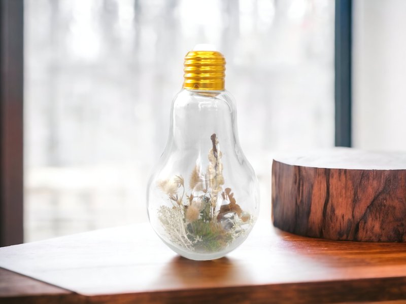 Large light bulb - closed terrarium with forest mushrooms, grass and moss - 乾燥花/永生花 - 植物．花 卡其色