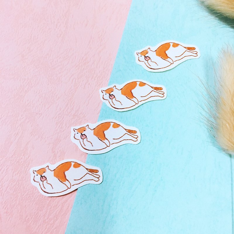 Flesh orange cat / sticker package 13 into - Stickers - Paper Orange