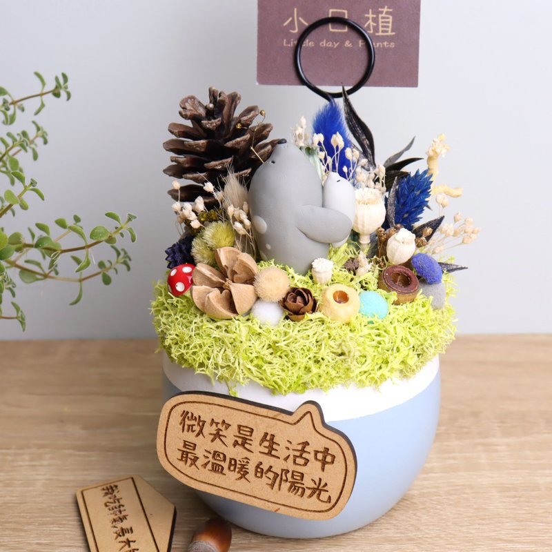 隨便睡海豹 乾燥花盆栽賀卡名片夾 客製字牌 | 桌花禮物兒童生日 - 名片架/名片座 - 木頭 灰色