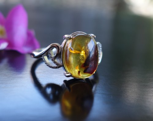 山奇藝術 Baltic Amber 琥珀 天然波羅的海 金珀 戒指 2.56克 植物珀 花珀