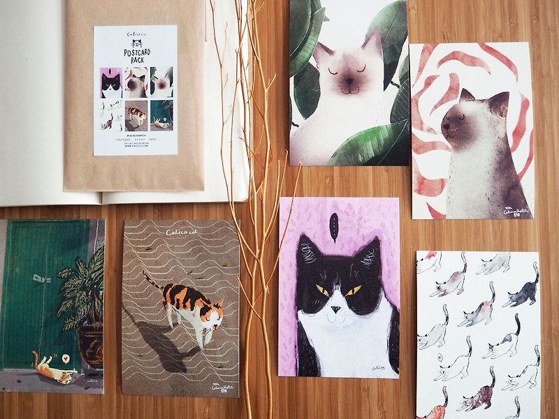 Postcard Cat 6 postcards. size 4x6 in PS001 - 卡片/明信片 - 紙 咖啡色