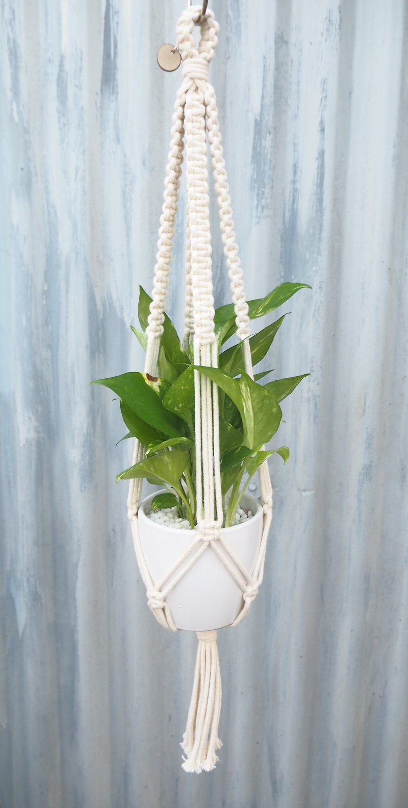 Macrame Plant Hanger / Square Knot - Plants - Cotton & Hemp White