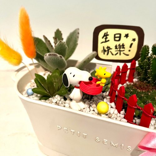 墨池遊工作室 史奴比 SNOOPY 糊塗塌客 多肉盆栽 多肉組盆 微景觀 客製化送禮