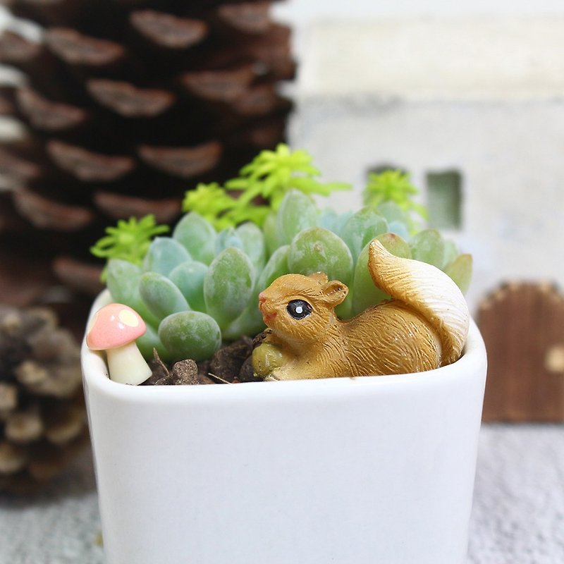 [Succulent White Pot-Litian Phoenix Squirrel] Potted/Planted/Plant/Green/Healing - Plants - Porcelain Green