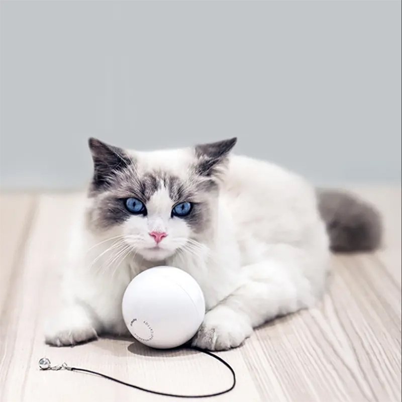 【Homerunpet】Smart Pet Magic Ball - ของเล่นสัตว์ - พลาสติก ขาว