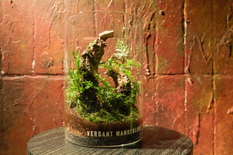 【生態缸－月影未落】微景觀 室內植栽 禮物 辦公室擺設 - 盆栽/植栽 - 植物．花 綠色