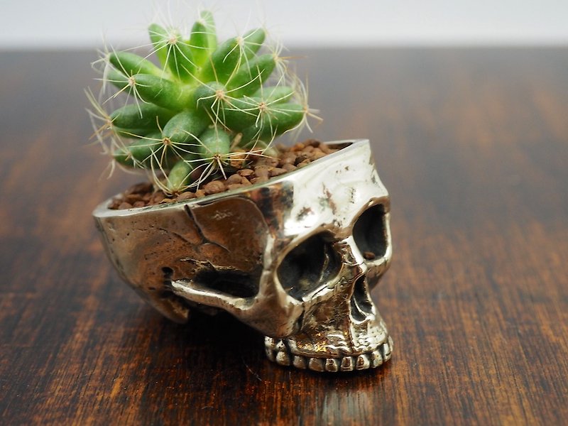 Skull pots cactus small potted plants in White bronze silver color  - ตกแต่งต้นไม้ - โลหะ สีทอง
