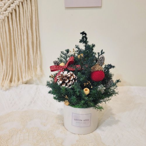 Cöttön dëër 棉花鹿手作空間坊 永生雪松聖誕樹小桌花。附禮盒。聖誕禮盒