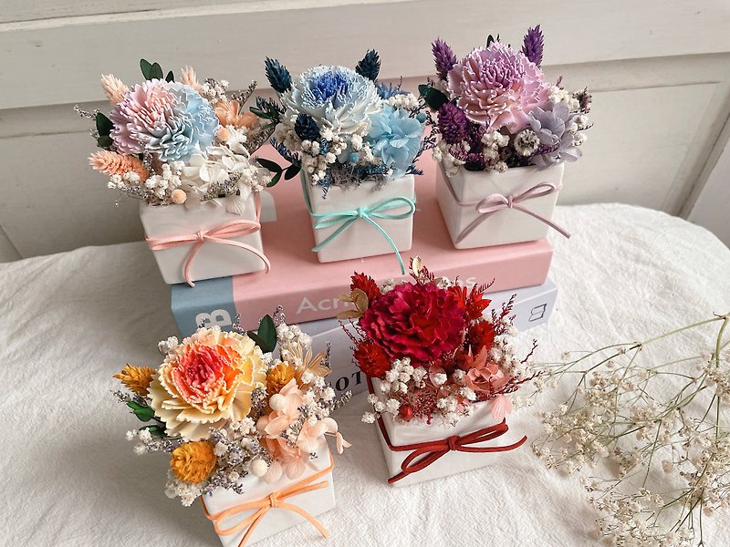 Potted Carnations/Mother's Day Gifts/Mother's Day Flower Gifts/Dried Carnations/Carnation Bouquets - ชั้นวาง/ตะกร้า - พืช/ดอกไม้ หลากหลายสี