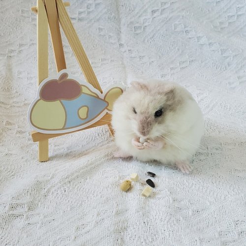 【羊毛フェルト】ハムスター★オーダー（さや‪） パターンオーダーメイド】羊毛フェルトのハムスター （送料無料