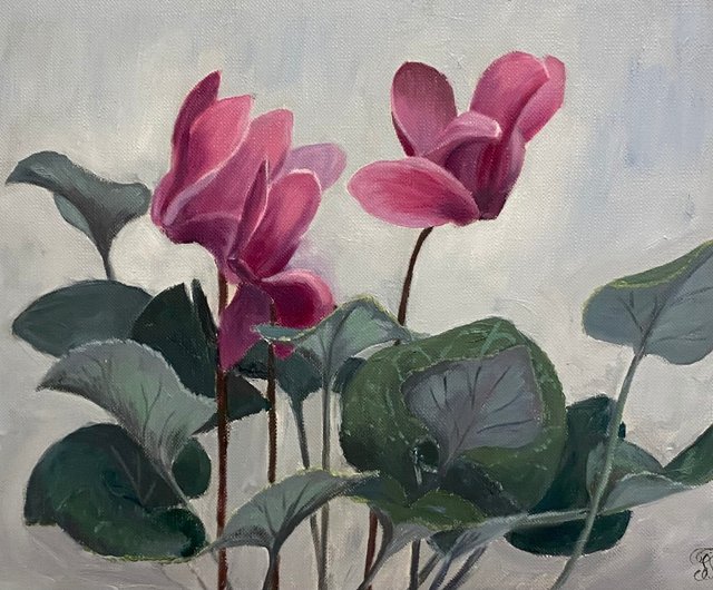 油絵 絵画 【シクラメン】 シクラメンの花の油絵 写実的な花の芸術 30 x 20 cm - ショップ
