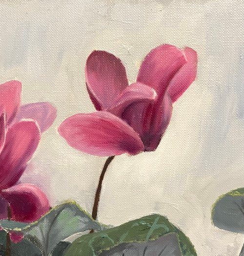 油絵 絵画 【シクラメン】 シクラメンの花の油絵 写実的な花の芸術 30 x 20 cm - ショップ