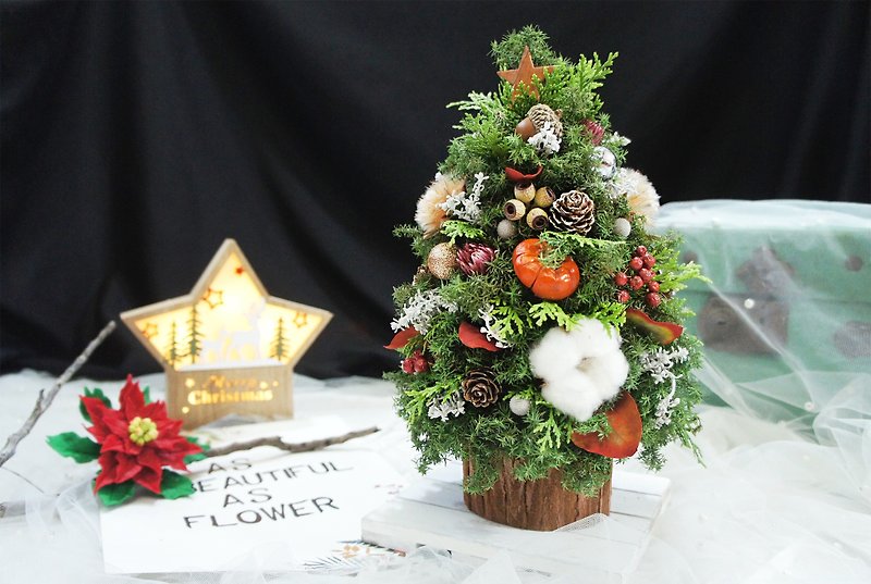 [Children's Fun‧Fresh Cedar Christmas Tree] - Plants - Plants & Flowers Green