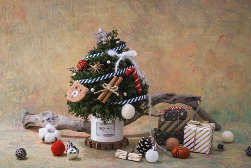 手作課程 – 永生雪松聖誕樹 - 植栽/花藝 - 植物．花 