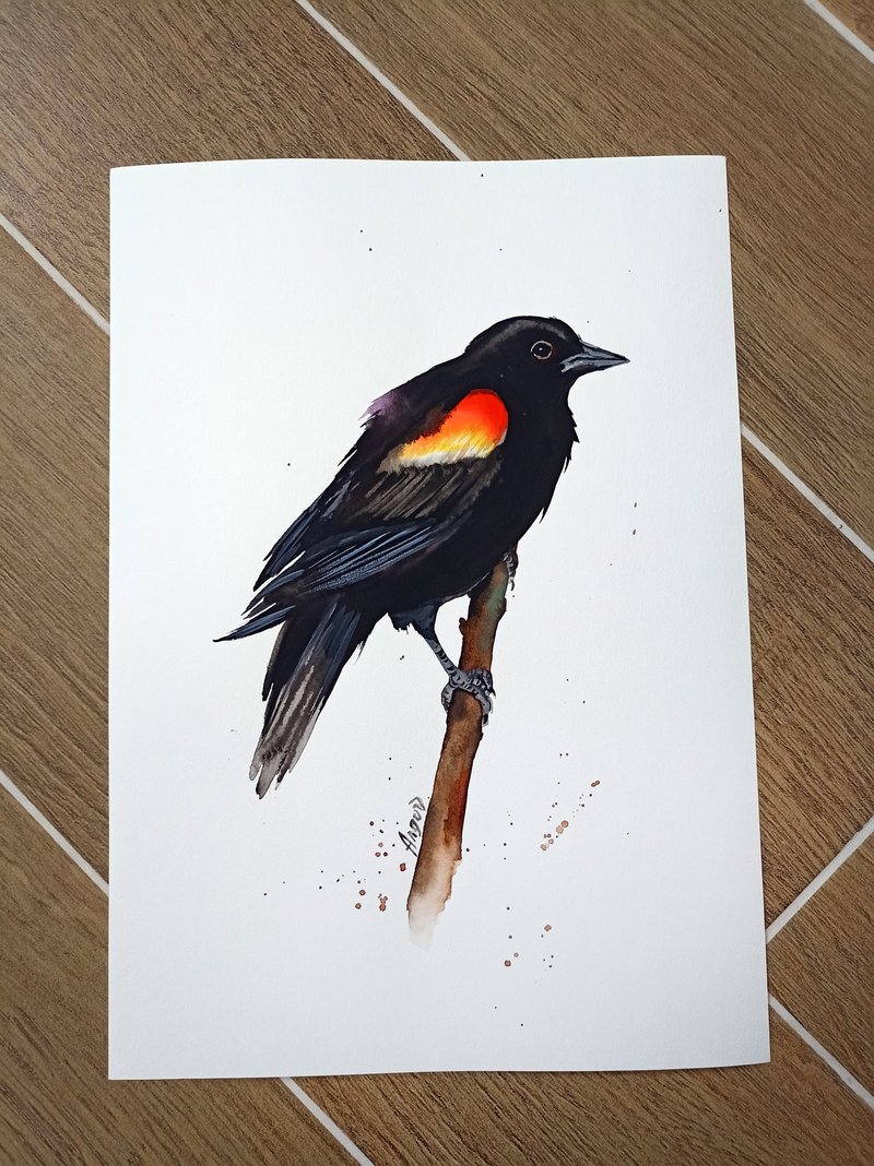 Watercolor Red-Winged Blackbird original room decor painting by Anne Gorywine - 壁貼/牆壁裝飾 - 紙 黑色