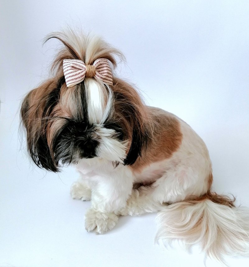 Personalized dog hair bows set with name tag for your small dogs, cats and puppy - 寵物衣服 - 其他材質 多色