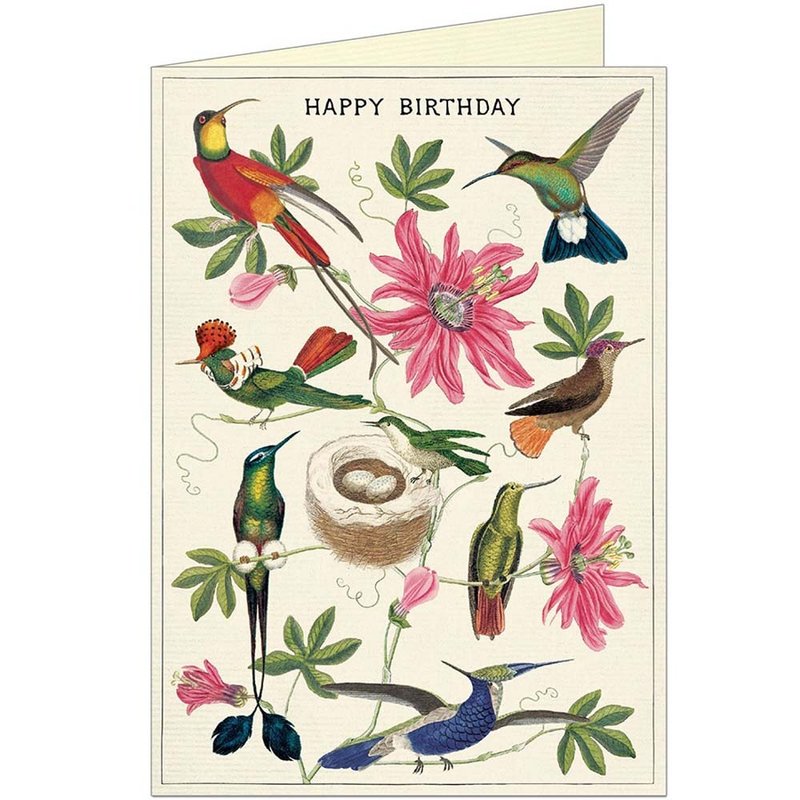 Cavallini & Co.  GREETING CARD 生日卡(大)_蜂鳥 - 卡片/明信片 - 紙 多色
