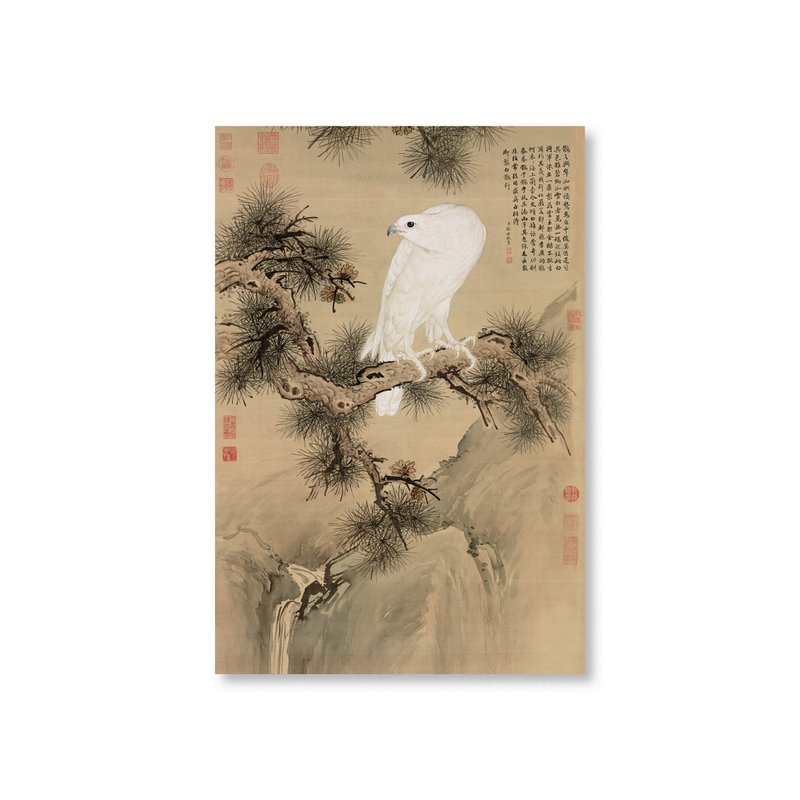 Postcard, White Falcon, Giuseppe Castiglione, Qing Dynasty - การ์ด/โปสการ์ด - กระดาษ สีกากี