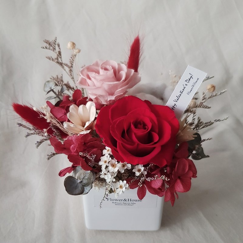 Valentine's Day|Eternal Flower + Dried Flower|Classic Red|2 Preserved Flower Dream Roses|Mini Potted Flowers - ช่อดอกไม้แห้ง - พืช/ดอกไม้ หลากหลายสี