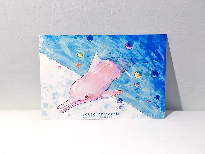 Ocean and Sea Season 2 Chinese White Dolphin/Double-sided postcard postcard - Cards & Postcards - Paper 
