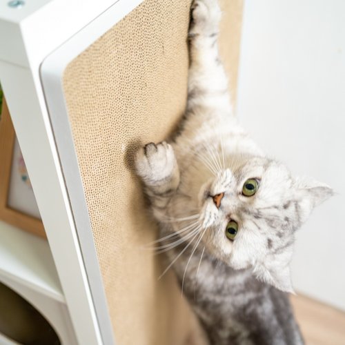 【新品】IKEA 猫 キャットハウス KALLAX ホワイト s-l400.jpg