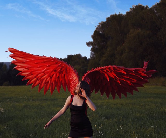 Red Devil Wings by BariaCG