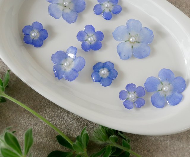 レジン イヤリング アイスブルー ドライフラワー アシンメトリー