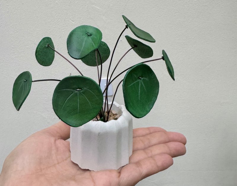 鏡面草皮革小品 - 植栽/盆栽 - 真皮 