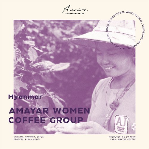 Annie Coffee Roaster Myanmar Ywangan Amayar Women Coffee Group Black Honey