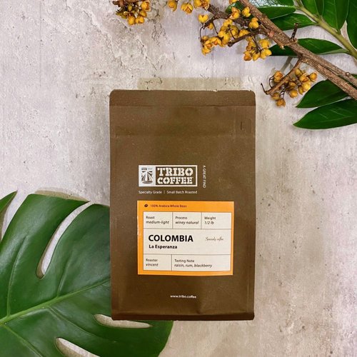 TRIBO COFFEE 哥倫比亞 希望莊園 酒香日曬 淺中焙(半磅咖啡豆)