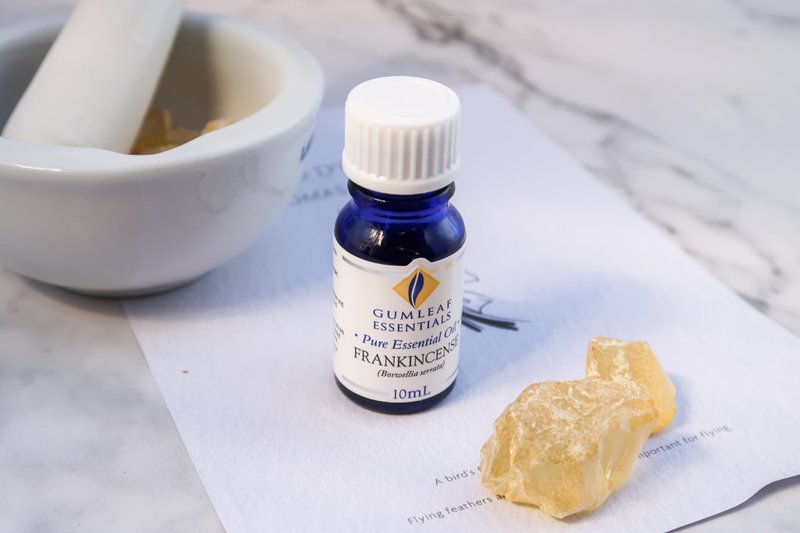【澳洲原裝】Frankincense Indian 印度乳香精油 - 香氛/精油/擴香 - 精油 