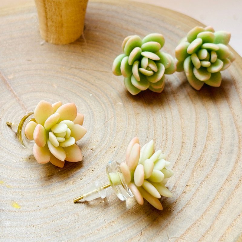 Micro succulent clay earrings/ Clip-On earrings jewelry on-ear style - ต่างหู - วัสดุอื่นๆ 