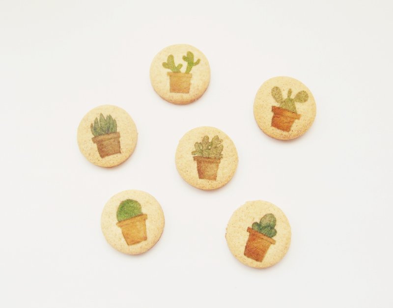 Hand-painted cute succulents handmade naked biscuits - Handmade Cookies - Fresh Ingredients 