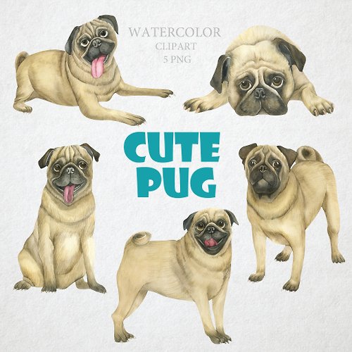 Larionochka Watercolor Watercolor cute pug illustration. Set of watercolor pug dogs. Pets illustration.