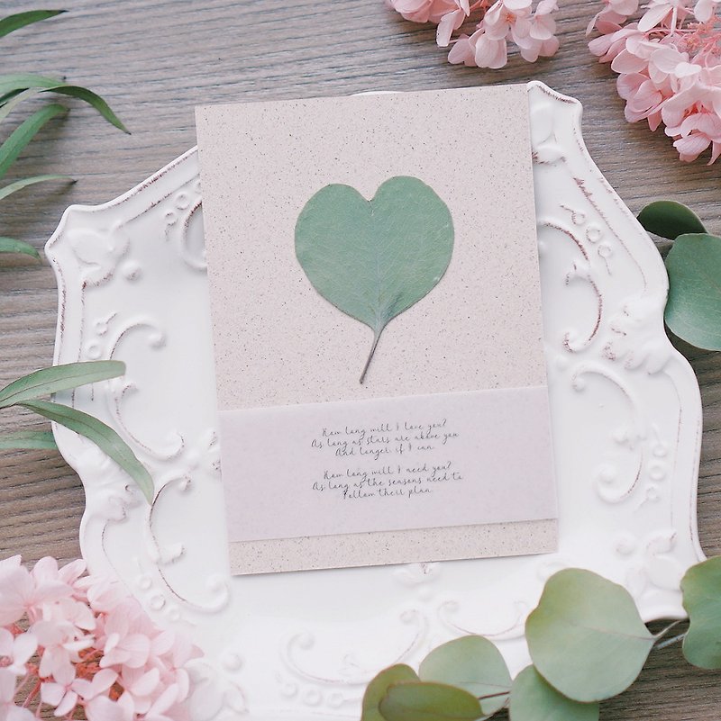 唯一。心型葉手工卡片禮盒  - 植物/盆栽/盆景 - 植物．花 綠色