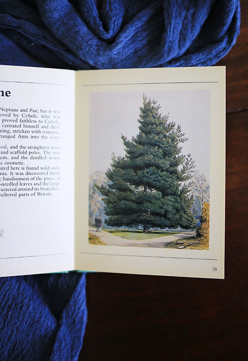 British 1983s Classic Illustration [Tree] Retro Booklet No.1 - หนังสือซีน - กระดาษ สีเขียว