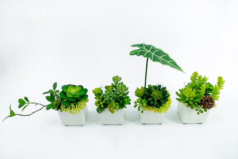 Artificial floral - fragrant fleshy white square pots - ของวางตกแต่ง - วัสดุอื่นๆ สีเขียว