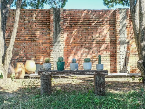 菩提樹木＋プラントボックススタンド 500x0.jpg