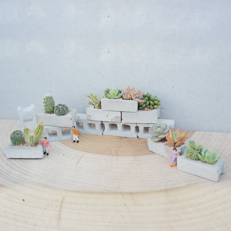 [Doudou Succulents] Housewarming│Gifts│Promotion│Succulents│-Hollow bricks (set of six) - Plants - Cement Gray
